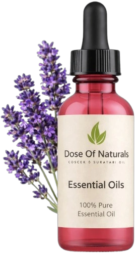 Essential Oils Manufacturers In India