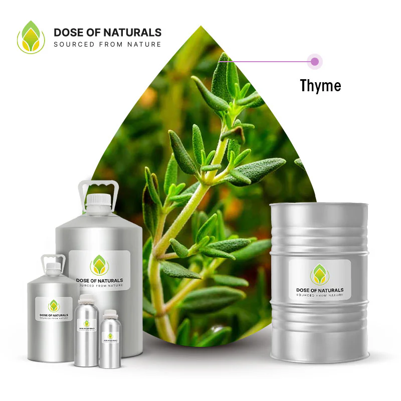 Thyme Oil