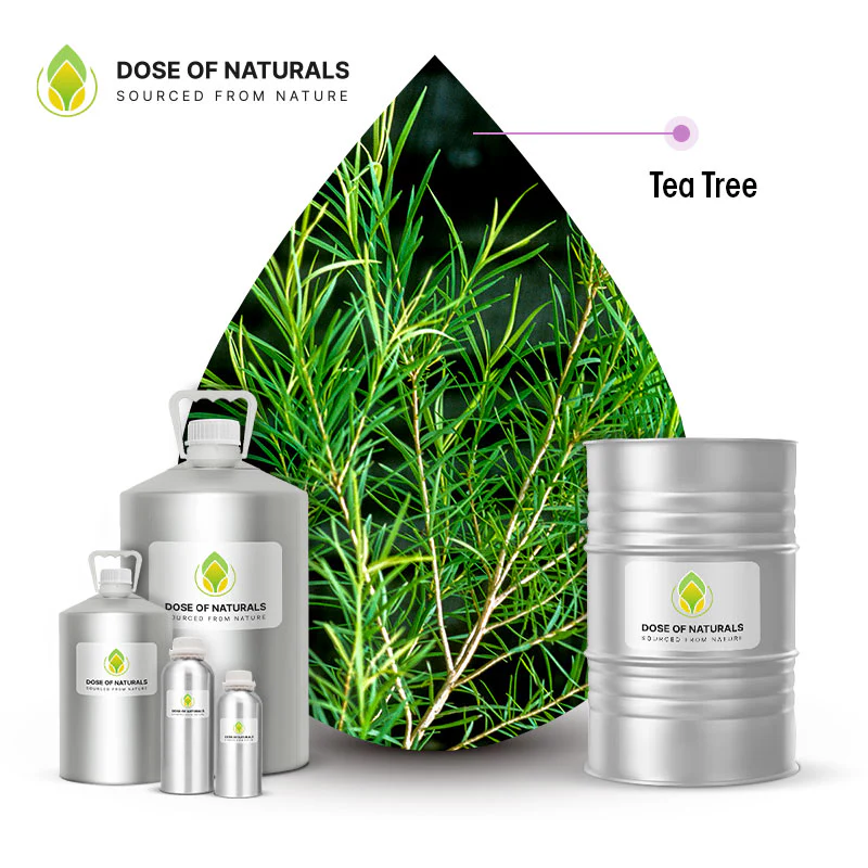 Tea Tree Oil