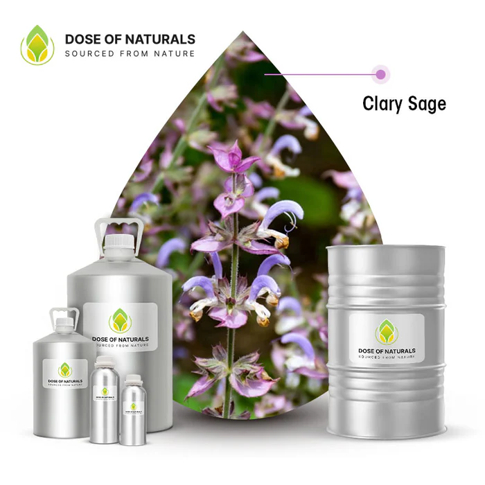 Clary Sage Essential Oil Manufacturers In Morocco