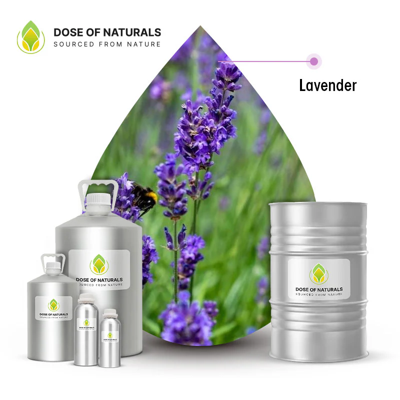 Lavender Essential Oil 40/42 Manufacturers In Watford