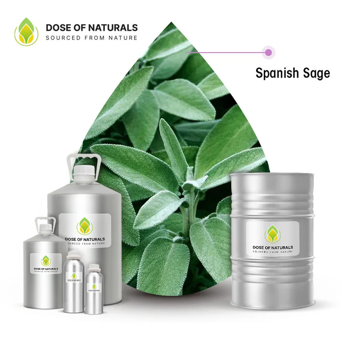 Spanish Sage Essential Oil Manufacturers In Canada