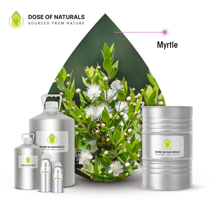 Myrtle Essential Oil Manufacturers In Cardiff