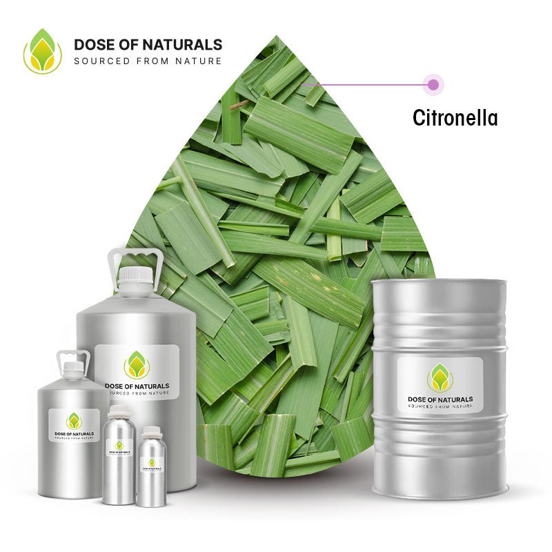 Citronella Essential Oil Manufacturers In Myanmar
